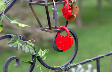 Lovers locks on a metal grate in a city park