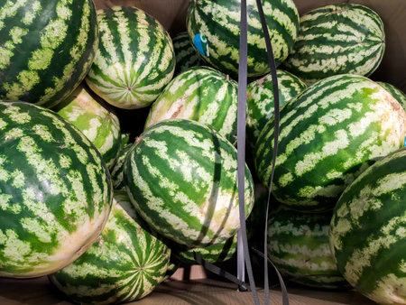Watermelons close-up in a storeの写真素材