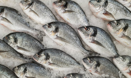 Fresh fish in the store top view