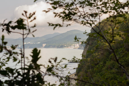 Aerial view of the sea and mountain landscape through the foliage of treesの写真素材