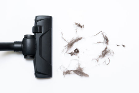 Dark head of a modern vacuum cleaner being used while vacuuming the floor. Cleaning service concept. Process of hoovering with vacuum cleaner. Space for typeの写真素材