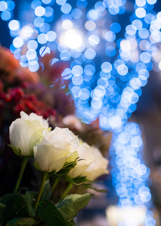 Beautiful close up of bouquet of flowers isolated with blue bokeh balls in the background,の写真素材