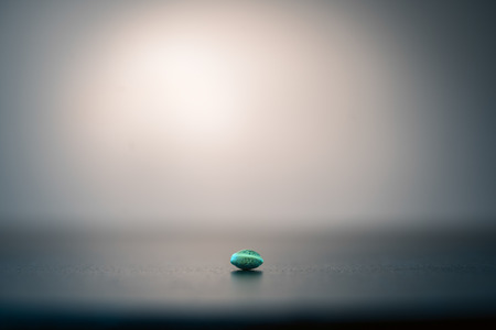 Macro close up photograph of a seed on dark neutral backgroundの写真素材