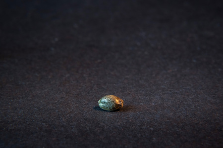 Macro close up photograph of a cannabis seed on dark neutral background, medical marijuana plant seedの写真素材