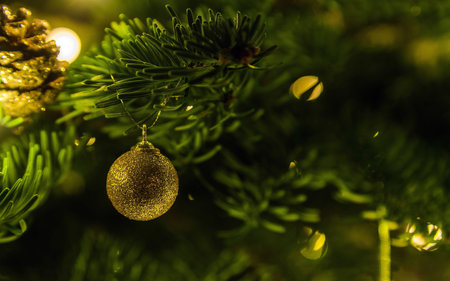 Golden Christmas tree ball decoration hanging on spruce branch surrounded be festive lights. Space...