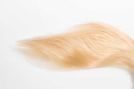 Blond natural hair extensions isolated on white background.の写真素材