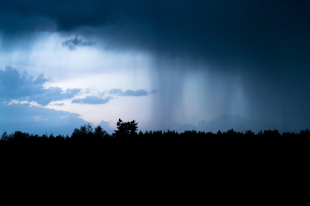 Heavy shower rain over the forest at night. Rain pouring from dark clouds in the sky at dusk, thunder storm is comingの写真素材