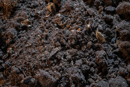 Dark texture of black dirt ground. Top view of black earth surface, agriculture backgroundの写真素材