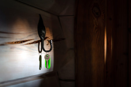 Key with tag hanging on the hook by the door in the dark