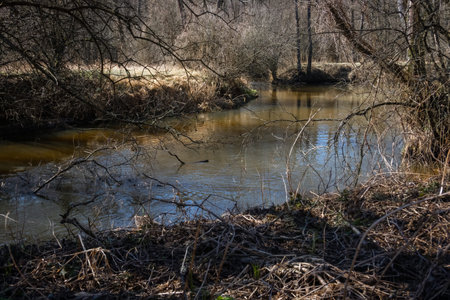 Narrow river stream with trees overgrowing the scene. Wild trout fishing expedition in spring,...