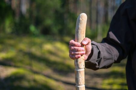 Close up of man holding a walking stick in the forest. Hand made wooden walking pole in hand of walker on a sunny dayの写真素材