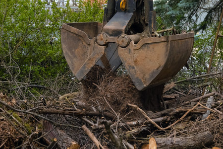 Heavy industrial machine scoop wooden branches and dirt of the ground. Hydraulic shovel lifting wood...