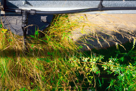 Close up of watering system outside in the garden on a sunny day. Automatic watering equipment on a...