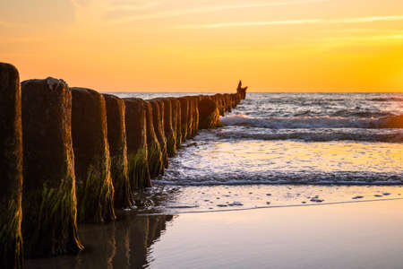 Wooden poles at the beach at golden sunset. Wave breaker pole heads in ocean water waves.の写真素材
