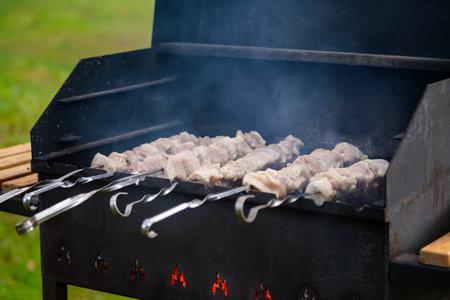 Close up view of tasty raw pork shashlik grilling on the barbeque. Skewer meat cooking over fire and...