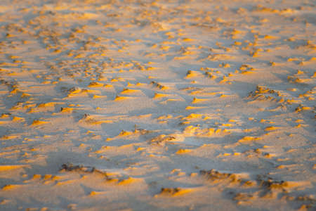 Abstract view of natural sand dune formation at the beach. Curly sand wave pattern closeup. Beautiful sandy background. Nobodyの写真素材