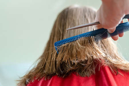 Close up of hairdresser hands cutting brown hair at home. Professional stylist trimming hair split ends.の写真素材