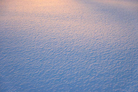 Fresh snow texture at sunset. Smooth powder background. Nobodyの写真素材
