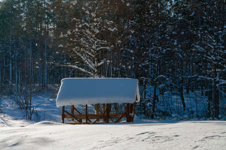 Winter hut in the woods surrounded by fresh powder snow on a sunny cold day.の写真素材