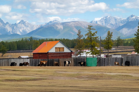 House in the countryside surrounded by farm animals with the mountains in the background. Farm cabin in the rural country with forest and hills with the snowy tops in a backdrop.の写真素材