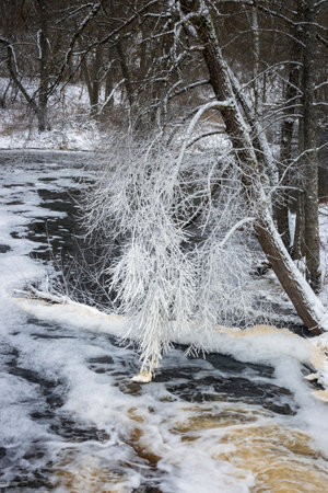Icy tree branches over flowing dam water. White foam on the water stream on a cold dayの写真素材