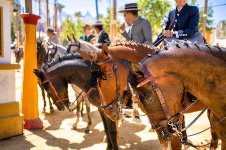 Jerez, Spain; May 07 2023: Spanish riders in Feria de Jerez dressed in the typical dress with their horses. Feast and joy in Jerez. High quality photosのeditorial素材