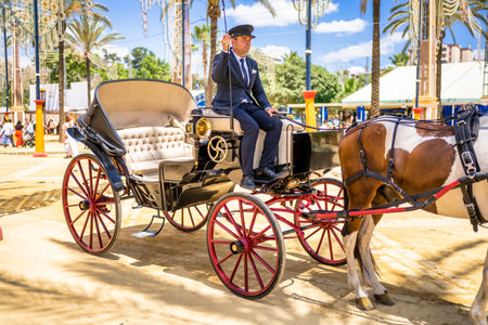 Andalusian horses and carriage in Feria del Caballo, Jerez de la Frontera (Cadiz, Spain)のeditorial素材