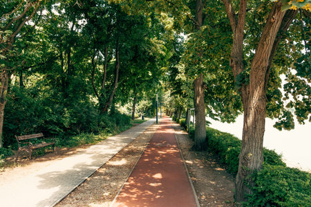 Modern walkway and running path differentiated by colours shot on a sunny day.