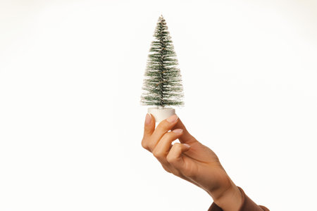 Female hand is holding a small plastic Christmas tree over white backdrop.の写真素材