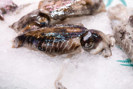 Close up shot of calmar and other sea food on ice at the street market.