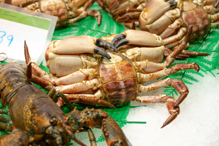 Close up shot of a big crab and some prawns or lobster at the street market.