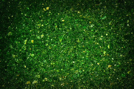 green grungeの写真素材