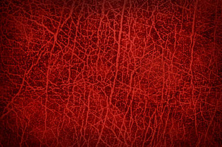 leather textureの写真素材