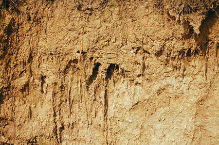 earth backgroundの写真素材