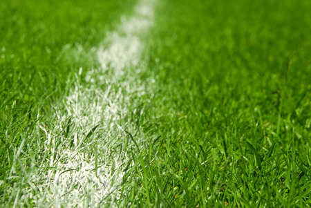 field lineの写真素材