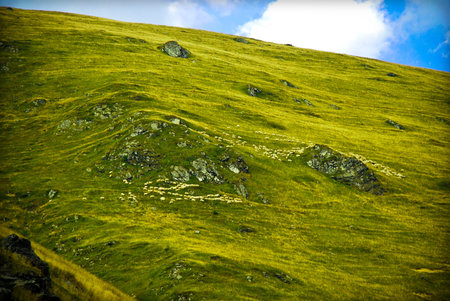 alpine landscapeの写真素材