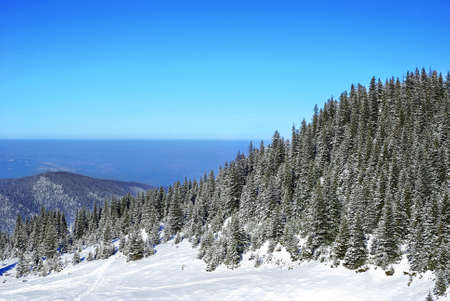 winter landscapeの写真素材