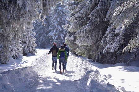 Kaltenbronn, Baden Wuerttemberg, Germany - February 27, 2015: Young people hiking in snowy Kaltenbronn, one of the major tourist attractions in the Black Forest Nature Park, near Hochmoor.のeditorial素材