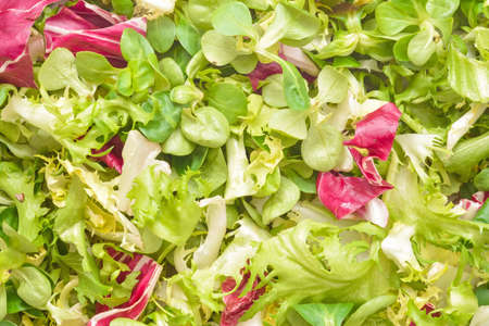 Vegetable salad mix closeup textureの写真素材