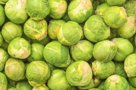 fresh natural brussel cabbage backgroundの写真素材