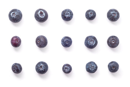 group of blueberries arranged in formationの写真素材