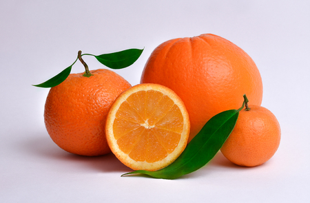 Fresh and juicy oranges in different size on white backgroundの写真素材