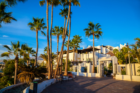 Beautiful view over traditional house architecture and palm trees illuminated by sunset light in Tenerife, Adeje Coast, Spainの写真素材