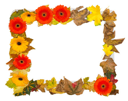 Beautiful and romantic photo frame with oak leaves and flowers isolated on white background
