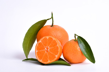 Juicy oranges with leavesの写真素材