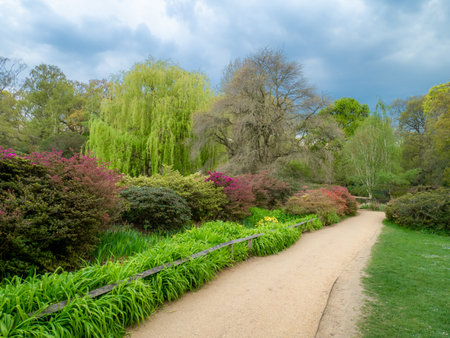 Tourists watching the beautiful blooming nature in  Isabella Plantation in the spring seasonの写真素材