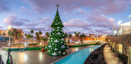 Christmas tree in Barcelona, Spainの写真素材