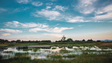 A pond at sunset with nuts and blue skyの写真素材