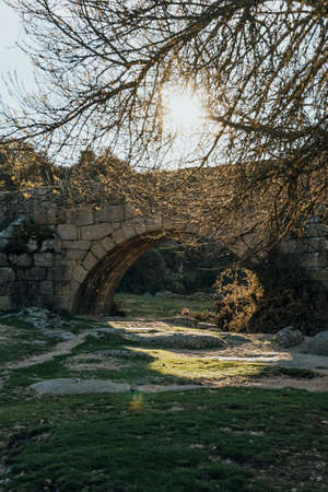 a beautiful sunset illuminating one of the arches of a Roman bridge on a summer day in the middle of natureの写真素材