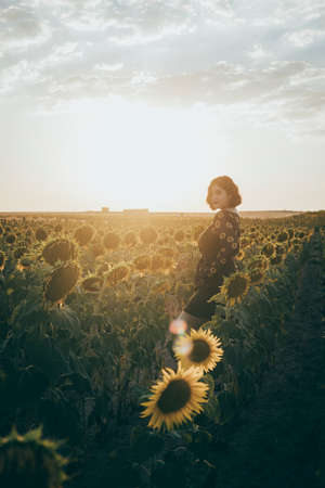 A beautiful girl is looking at the camera with her sunflowers shirt in a field of sunflowers in a sunset of a summer afternoon in the middle of natureの写真素材